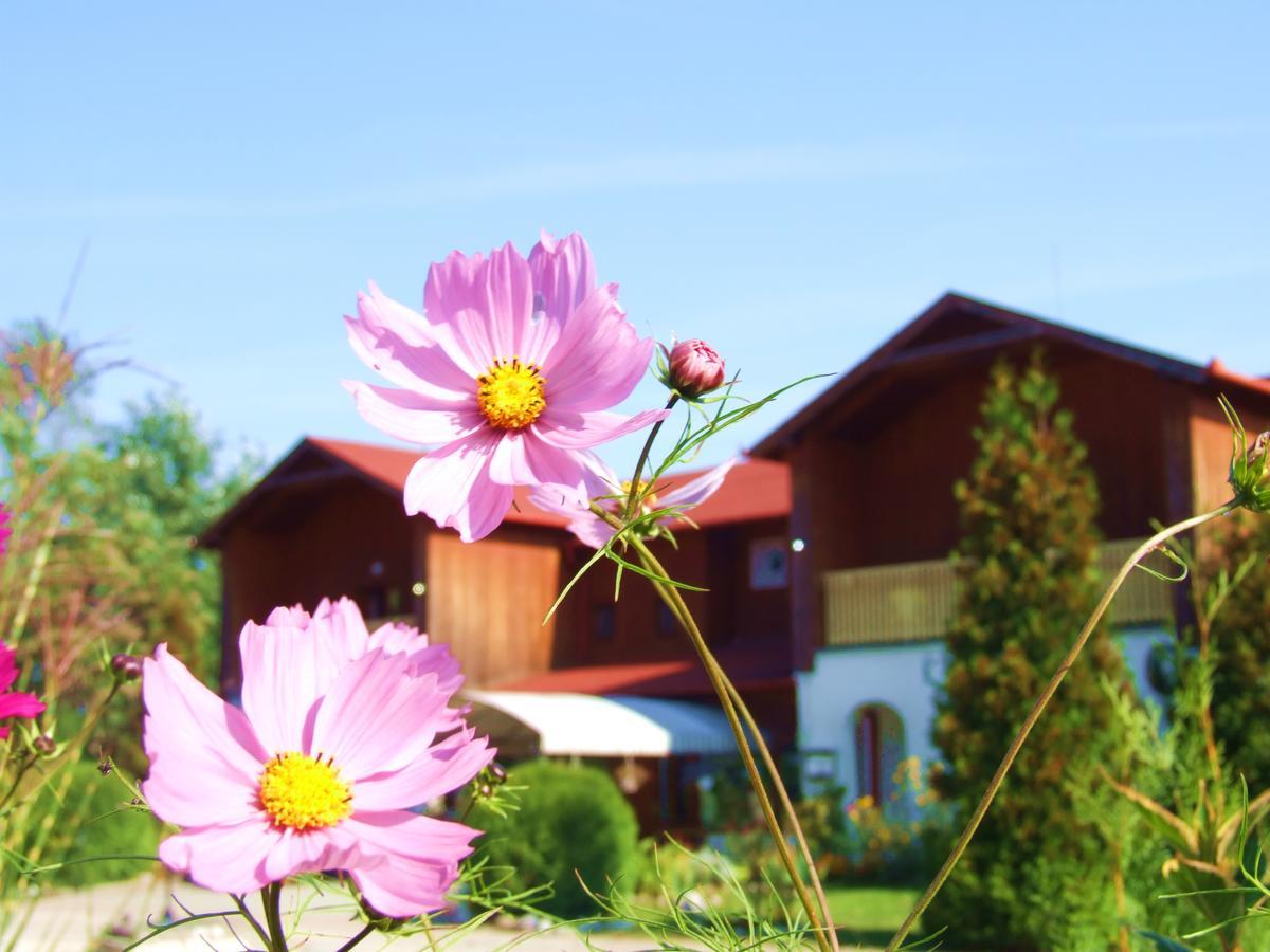 Pollushof Panzio Es Etterem Bed & Breakfast Csolnok Екстериор снимка