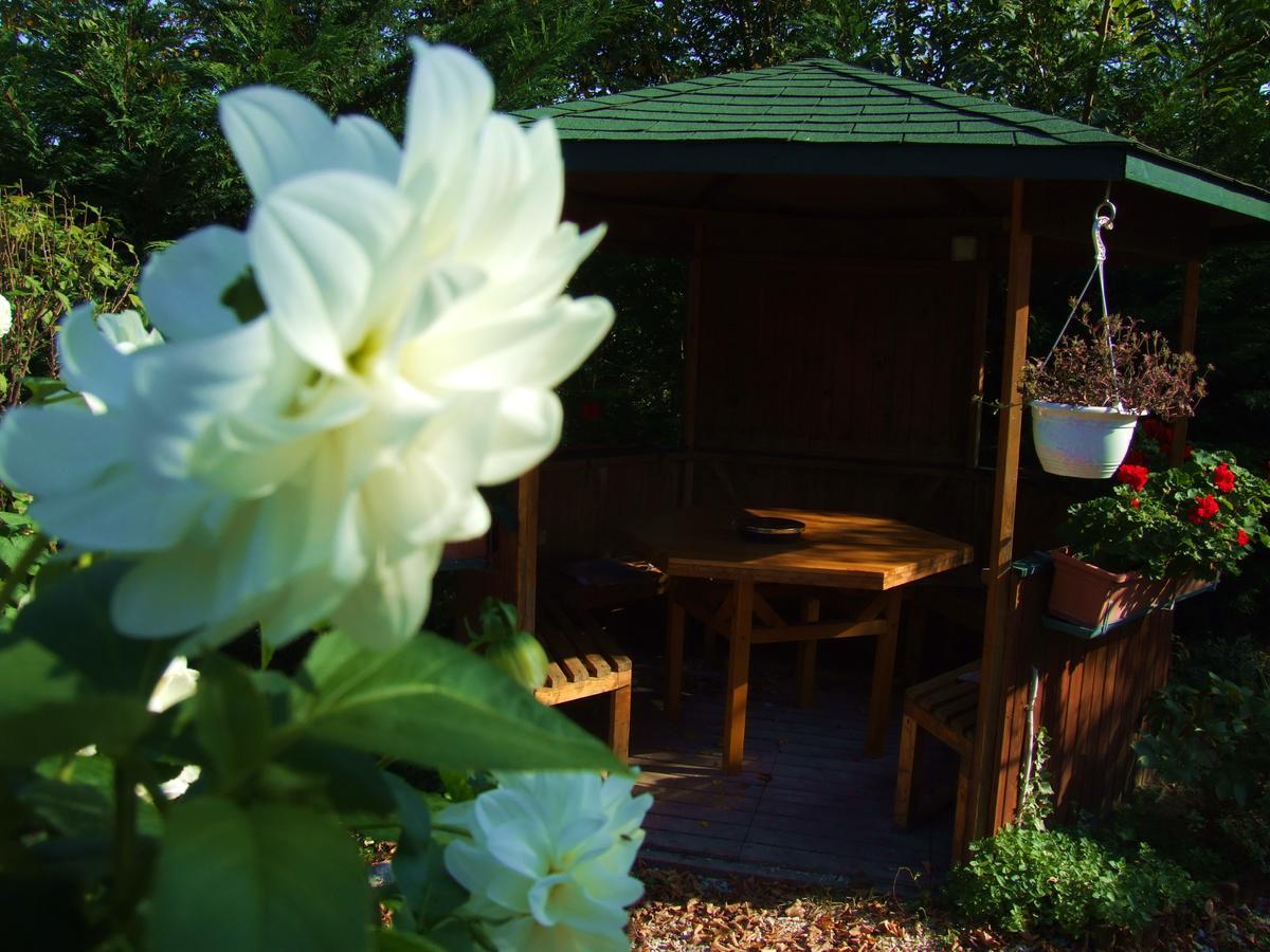 Pollushof Panzio Es Etterem Bed & Breakfast Csolnok Екстериор снимка